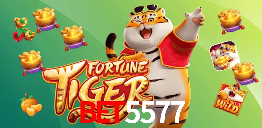 Football Betting Bet5577